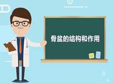 【醫療科普】：你知道骨盆在人體中有什么作用嗎？